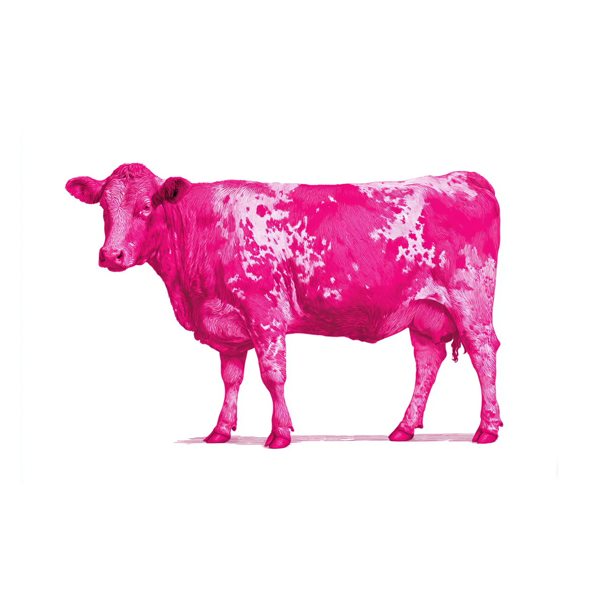 milking messages
